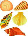 shellshoppicture