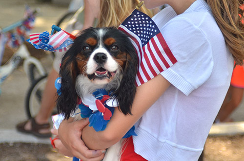 The Sea Pines Resort Harbour Town Fourth of July Parade Pup