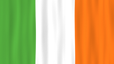 History of the Irish