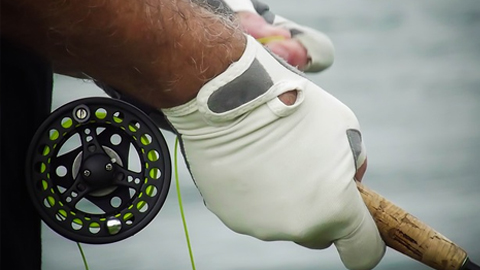 Saltwater Fly Fishing. man's hand with white glove