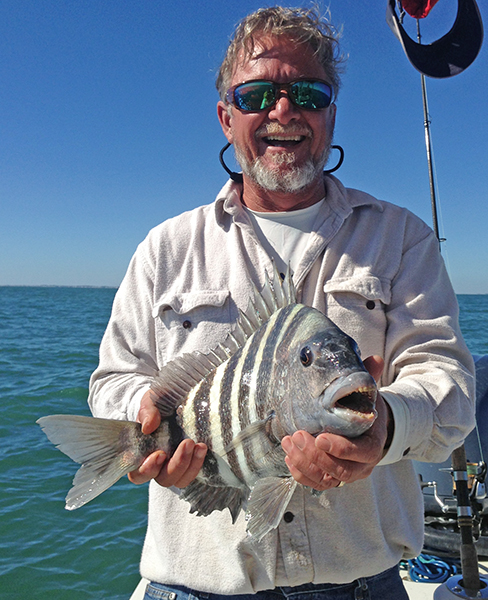In Search of Sheepshead