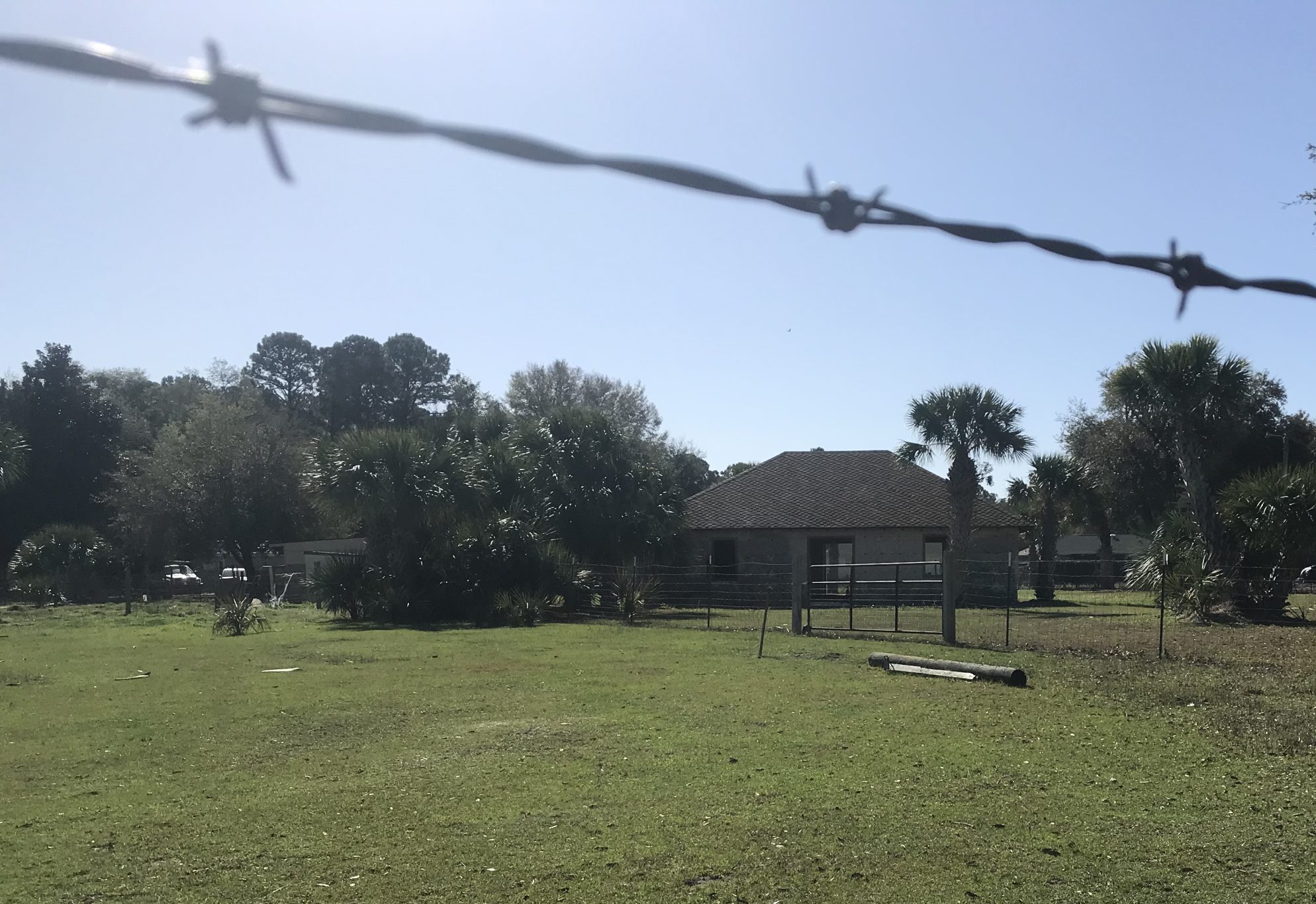 Original Tabby on Hilton Head Island