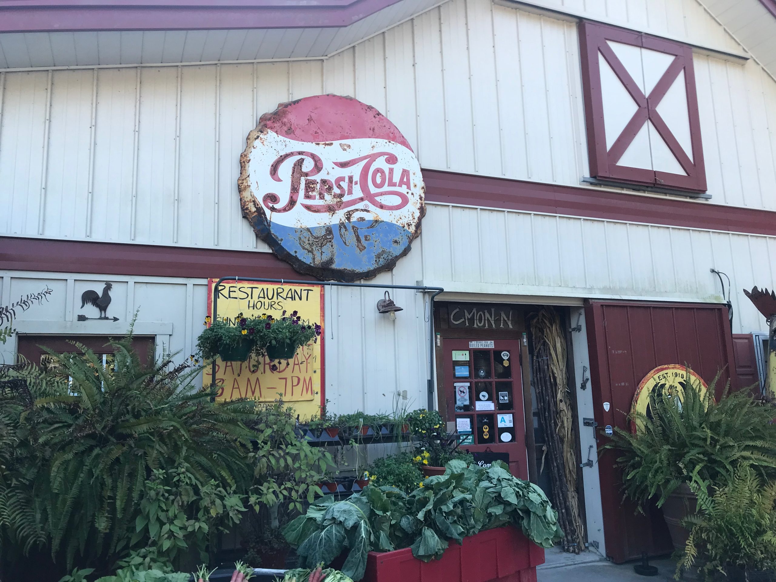 A Day Trip to Bluffton