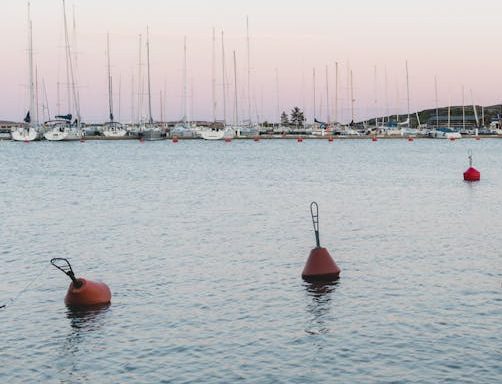 All About Crab Traps