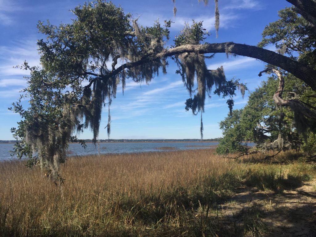 5 Places for the Nature Lover on Hilton Head